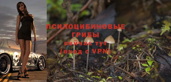 а пвп мука Беломорск