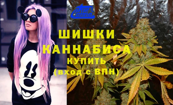 марихуана Белокуриха