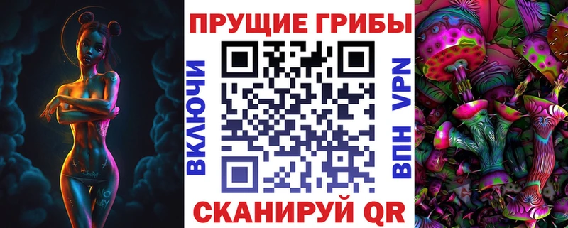 Псилоцибиновые грибы мицелий  Куртамыш 